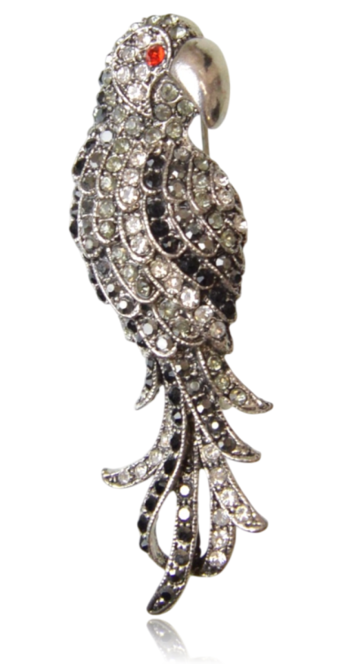 Broszka „Silver Parrot” – Egzotyczna Elegancja w Cyrkoniach