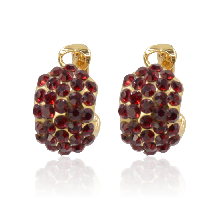 Kolczyki pozłacane Colibra P10972Au Siam 208