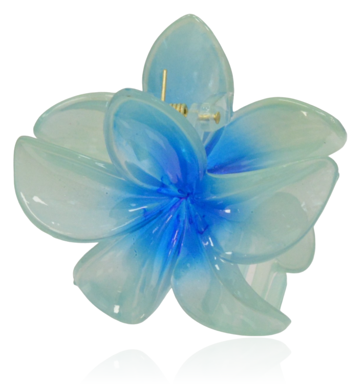 Spinka szczęka kwiat hawajski niebieski