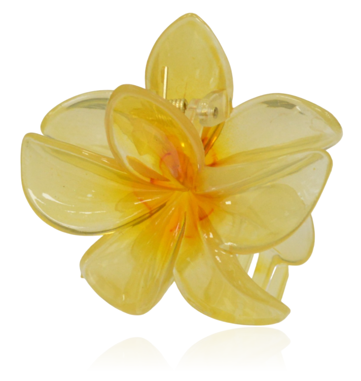 Spinka szczęka kwiat hawajski żółty