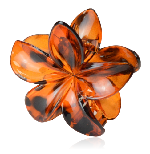 Spinka szczęka kwiat rudy panterka