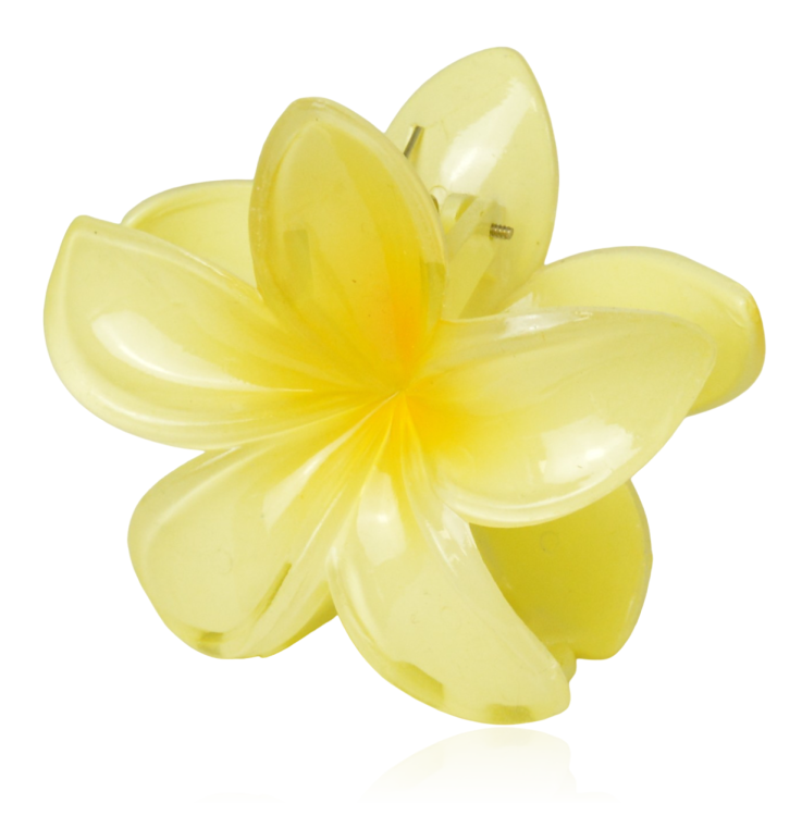 Spinka szczęka kwiat hawajski kanarkowy