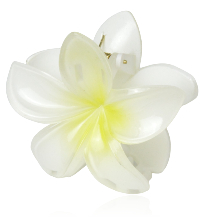 Spinka szczęka kwiat hawajski biało-żółty