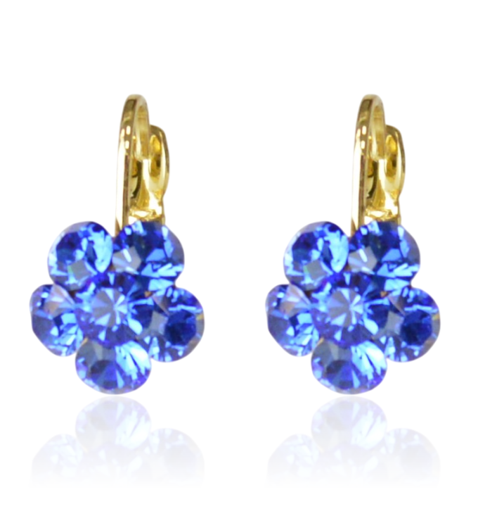 Kolczyki pozłacane Colibra P11081Au Swarovski-206